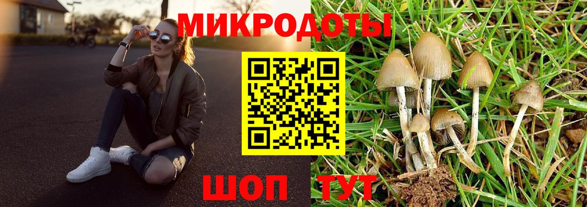 Псилоцибиновые грибы Cubensis  Вход с VPN  Тимашёвск  Галлюциногенные грибы Psilocybine cubensis 
